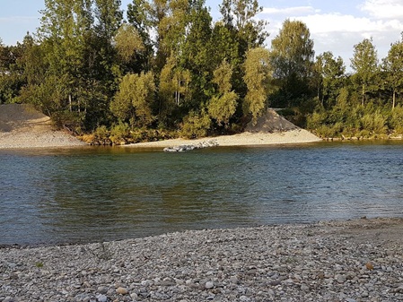 Die Iller im Unterallgäu